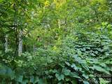 102 Big Ridge Road - Photo 6