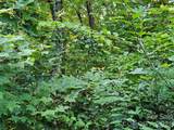 102 Big Ridge Road - Photo 7