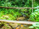 33 Robinson Creek Road - Photo 31