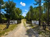 3203 Landfill Road - Photo 5