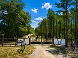 3203 Landfill Road - Photo 7