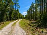 3203 Landfill Road - Photo 8