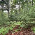 0 Mulberry Divide - Photo 2