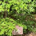 0 Mulberry Divide - Photo 7