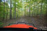1260A Beaver Island Trail Road - Photo 34