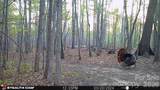 1260A Beaver Island Trail Road - Photo 38