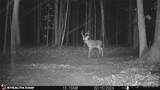 1260A Beaver Island Trail Road - Photo 40
