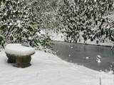 354 King Road - Photo 44