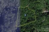 111 Birch Tree Cove - Photo 1