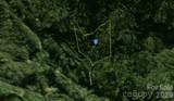 111 Birch Tree Cove - Photo 2