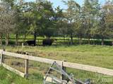 12917 Austin Road - Photo 14