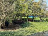 12917 Austin Road - Photo 20