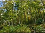 Lot 96 Little Fox Run - Photo 8