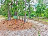 1377 Pine Road - Photo 4
