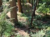 99999 Balsam Court - Photo 3