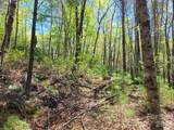 Lot 21 Little Fox Run - Photo 6