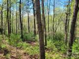 Lot 21 Little Fox Run - Photo 7