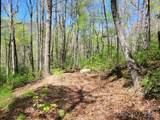 Lot 21 Little Fox Run - Photo 10