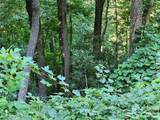 109 Big Ridge Road - Photo 2