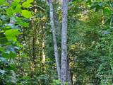 109 Big Ridge Road - Photo 12