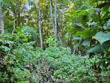 109 Big Ridge Road - Photo 3