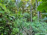 109 Big Ridge Road - Photo 5