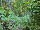 109 Big Ridge Road - Photo 6