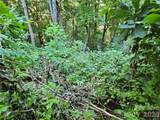 109 Big Ridge Road - Photo 7