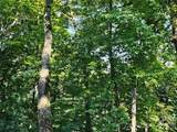 109 Big Ridge Road - Photo 8