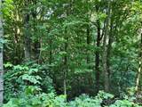 109 Big Ridge Road - Photo 9