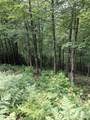 TBD Preservation Trail - Photo 2
