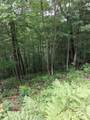 TBD Preservation Trail - Photo 3