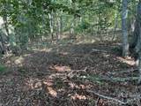 V/L Scenic Vista Drive - Photo 12