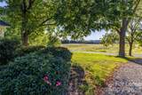 34838 Ellen Road - Photo 9