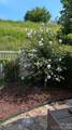 28 Westfield Way - Photo 46