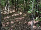 V/L Heartwood Drive - Photo 17