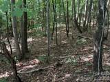 V/L Heartwood Drive - Photo 22