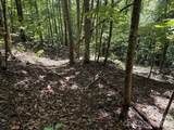 V/L Heartwood Drive - Photo 23