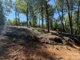 V/L Overland Trail - Photo 11