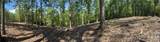 V/L Overland Trail - Photo 16