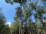 V/L Overland Trail - Photo 19