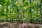 1250 Arborcrest Way - Photo 8