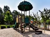 12323 Cherrybark Lane - Photo 47