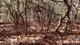 TBD Galax Lane - Photo 11