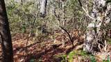 TBD Galax Lane - Photo 14