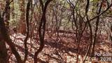 TBD Galax Lane - Photo 15