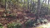 TBD Galax Lane - Photo 7