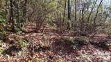 TBD Galax Lane - Photo 9