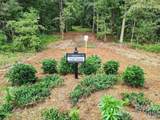 6083 Chimney Bluff Road - Photo 48
