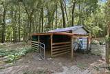 205 Dornoch Drive - Photo 42